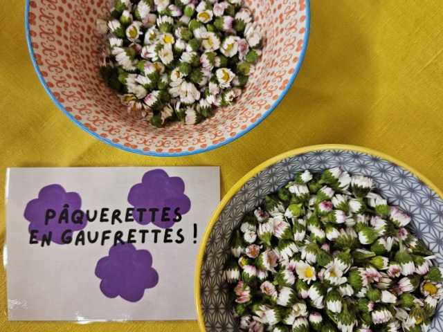 Pimp' ta popote | Ateliers culinaires et herboristerie